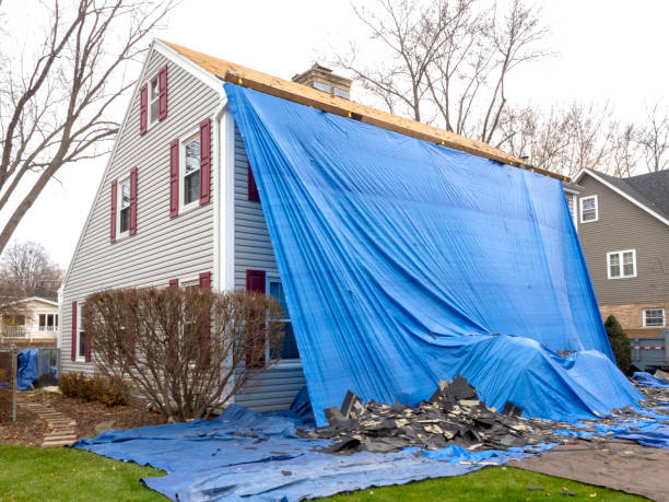 Best Stone Veneer Siding  in Eveleth, MN